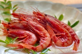 濃厚な旨み極みを持つ夕陽染めの真紅の赤エビ800g