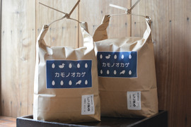 【合鴨農法・はざかけ】令和６年産 あいがも米「カモノオカゲ」あきほなみ 白米 20kg