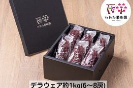 2026年＼8月上旬発送／山形県高畠町産種なしデラウェア約1㎏