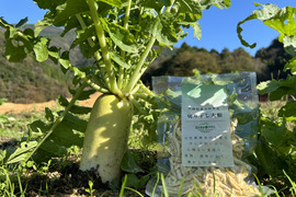 【無添加】秋大根を「切り干し大根へ」　80g×２袋