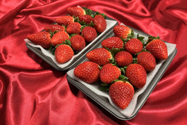 てぃあらふぁーむが届ける赤い宝石「いちごさん」中玉1箱約500g