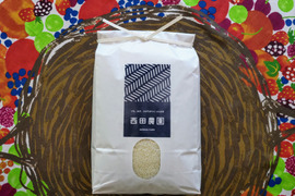 一等米✨【令和６年産】特別栽培米【コシヒカリ 精米5kg】天然資材＆有機質肥料のみ・動物性堆肥不使用・低農薬（80％以上削減）✨食べチョクAW2023米・穀類🥇１位受賞