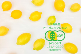 【有機JAS認証！】レモン島からお届け♪皮まで♪オーガニックレモン2kg