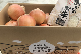 数量限定【淡路島和田農園】淡路島玉ねぎ2kgと特別栽培米3kg