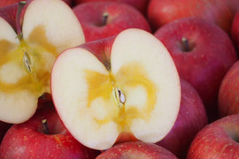 完熟サンふじ家庭用🍎ジュワッと滴る果汁の甘さ✨ りんごの王様👑