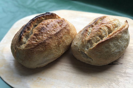 【超貴重な有機JAS認証パン】Singleパン⑲：自然栽培小麦のみ使用したクッペ2個
