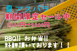 北海道産訳ありアスパラ　3キロ　送料チルド込 楽天市場】【予約】北海道産 アスパラ 3色セット 900g (各300g