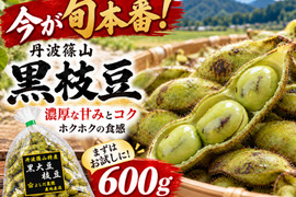 【今が旬本番！】【朝どれ】丹波篠山 黒枝豆 600g 濃厚な甘み 大粒 ホクホク食感 農家直送 期間限定 贈答用にも最適 大粒 最高級 さや 枝豆 丹波篠山黒枝豆 数量限定 丹波