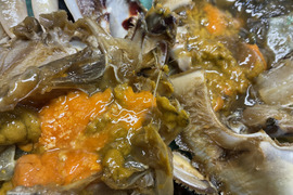 【謹製】カンジャンケジャン/ワタリガニ/メス/内子たっぷり/カニ醤油漬【特大】【冷凍】