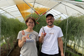 夏芽🏖️朝穫りアスパラガス💫収穫したその日に発送( Lサイズ ・1kg )