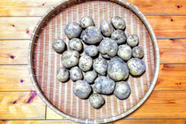 【訳あり】ジャガイモ(ダンシャク)2.5～３㎏程度【農薬化学肥料不使用】【合わせ買い可】【熨斗(のし)対応可】