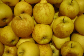 完熟はるか(有袋) 小玉(サビ) 家庭用 総重量 約3.8kg 青森県 南部地方産 自家りんご農園生産直送品！