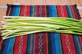 希少！市場にあまり出ない白いニンニクの芽 400g(20本）