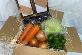 【ギフト用！】80サイズ5種類の野菜セット