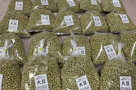 肥料不使用・農薬不使用の自然大豆　1ｋｇ