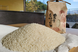 【幻の米】農林48号！　通称「武川米」3kg