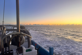 綱元漁師のファミリーパック定期便 ３人前程詰め合わせ