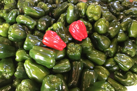 【青森県産特別栽培ピーマン1kg】緑のピーマンと赤のピーマン　一般サイズ　1個35〜45g　25個程度