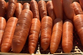農薬・化学肥料不使用 人参 にんじん (甘美人 アロマレッド)7kg 埼玉県認証特別栽培