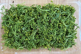 【春の香り】花山椒/はなさんしょう/天然/高級山菜/100g【4/18~19発送】【冷蔵便】