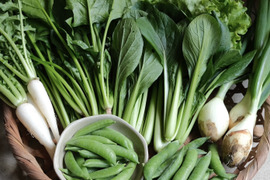【旬のお野菜セット】使い慣れた定番野菜を中心に、農薬や化学肥料に頼らずにゆっくり元気に育った野菜をお届けします！