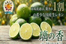 【市場流通わずか1割】緑の宝石とも呼ばれる次世代を担う国産生レモン『璃の香』お試しキャンペーン約1㎏【9月下旬予約】