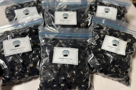 【秋の体調管理に】宍道湖産・冷凍しじみ・3kg（お任せサイズ）