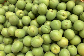 【訳あり傷あり】自然農法で大事に育てた青梅（2kg）☆家庭用・加工用にどうぞ