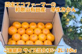 【家庭用・サイズMIX】和歌山有田産！早生みかん≪10㎏≫