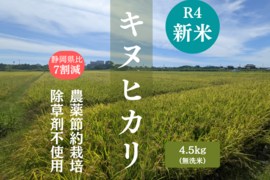 キヌヒカリ無洗米4.5kg（農薬節約栽培のお米）
