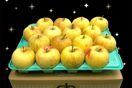 【予約販売】「有袋!金星!! 」家庭用約4.5Kg青森県産 数量限定　金星　きんせい　りんご