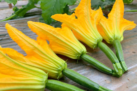 幻の食材【こだわり花ズッキーニ〜極み〜】