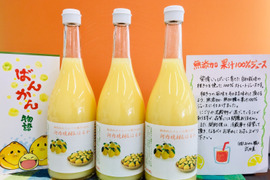 河内晩柑・はるかジュース ７２０㎖ ３本入り【みかん職人武田屋】
