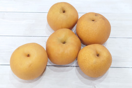 【加工向け】梨 おまかせ詰め合わせ約3kg【緩衝材無し】
