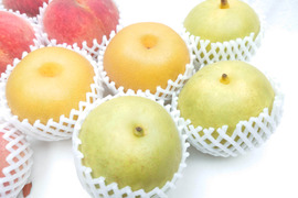華やか！桃と梨のおまかせ詰め合わせ 約3kg