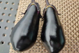 🍆✨【茄子コレ第2弾】ポリポリ・ジュワッ！生食＆浅漬けにおすすめ♪涼感なす2種食べ比べBOX約600g｜朝採れ直送｜農薬・化成肥料不使用✨🍆