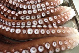 訳あり【無添加】北三陸産　茹でタコ足、頭　約1kg