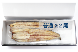 【母の日フェア開催中】2024年度新仔!丸和うなぎ白焼き(普通サイズ) X 2尾 ※1尾 130g (感謝の気持ちを込めた贈答対応可)