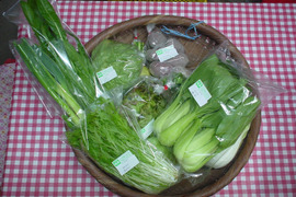 旬の野菜セット１０品目以上（農薬不使用、化学肥料不使用栽培）