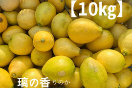 璃の香　訳なし！国産レモン　瀬戸内産　10㎏