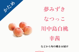 【かため桃】桃好き必見！桃のリレーが楽しめる！季節の【桃】おうち用（もも）お試しセット 約4kg 約10~14玉