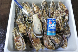 秀峰牡蠣 特大２００gアップ 生食用　30個入れ 北海道森町産　牡蠣ナイフ付