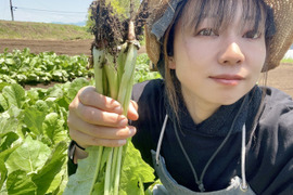 (80)信州産 [レシピ付] 漬物以外もアレンジ自在！春の野沢菜
