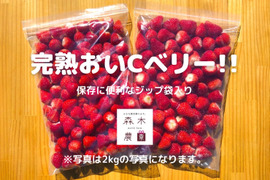 【ビタミンC含有量 No1】冷凍いちご〈おいCベリー〉 2ｋｇ