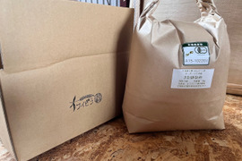 きたほなみ4kg　オーガニック（有機）玄小麦 2025年産　※小麦粉じゃありません