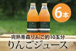 濃厚りんごジュース 完熟青森りんご100％【しぼってそのまんま】（1Ｌ×6本入）