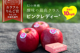 【ヒルナンデスでました！】ピンクレディー®︎ 10キロ訳あり品 加工用にご利用ください！長野県 信州 安曇野 リンゴ 幻 幻のリンゴ 予約 希少 旬 ID62476 ピンクレディー
