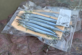 【新物】食べたらやみつき★さよりのゴロ干し(丸干し)