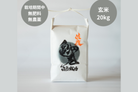 亀の尾の通販|お米|食べチョク|産地直送(産直)お取り寄せ通販 亀の尾の通販|お米|食べチョク|産地直送(産直)お取り寄せ通販