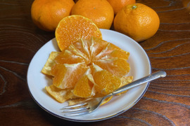 【訳アリ】甘平🍊正直見た目は良くないです　3キロ家庭用  でも味は嘘をつかない ！シッカリ酸味の残ったこの時期限定！